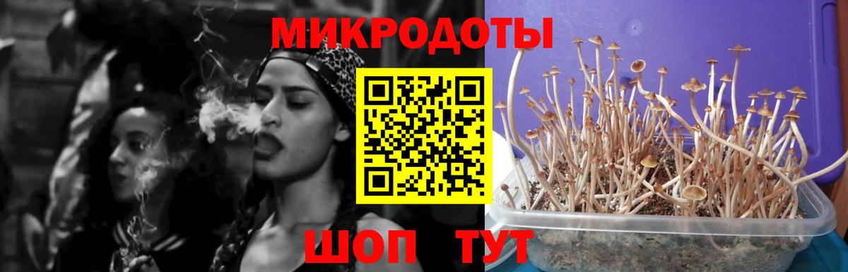 Лесосибирск  Галлюциногенные грибы Psilocybine cubensis  Вход с VPN 
